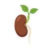 usersample